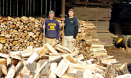 High quality firewood