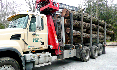 Log removal